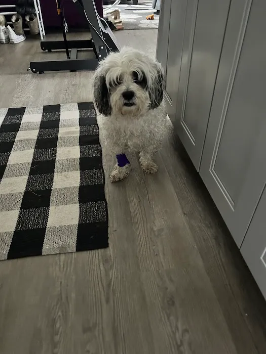 Thrive Pet Healthcare - Sicklerville 7