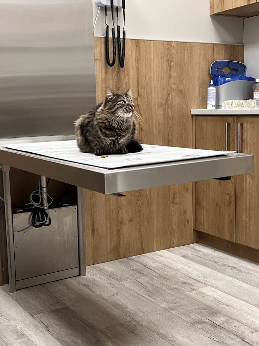 Pet Check Urgent Care 3
