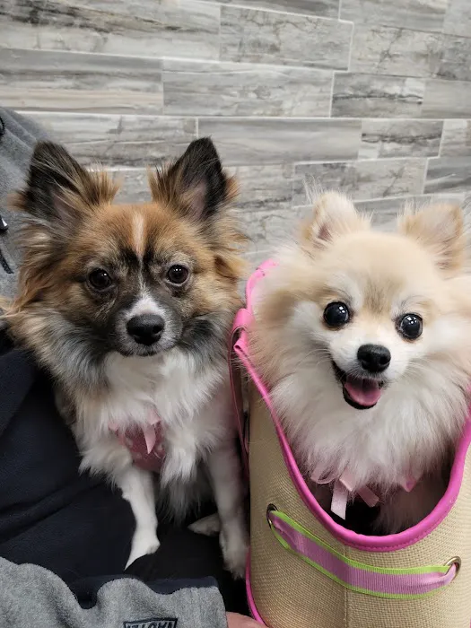 Pet Check Urgent Care 4