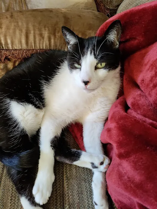 Pet Check Urgent Care 2