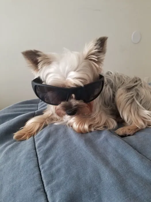 Pet Check Urgent Care 7