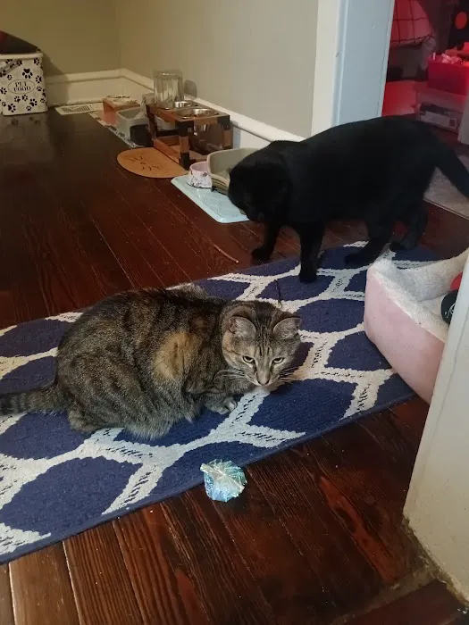 Pet Check Urgent Care 9