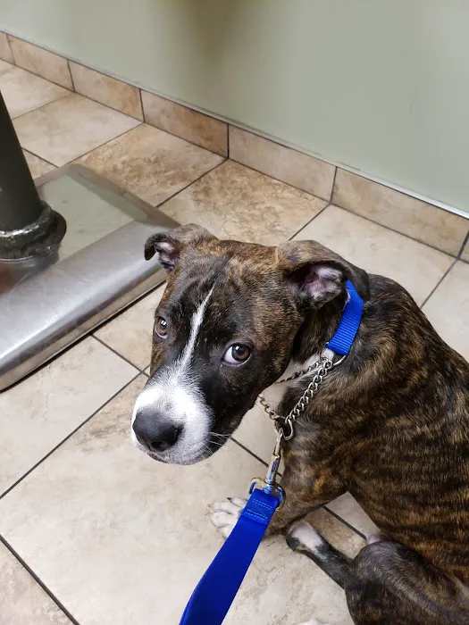 Cross Keys Animal Hospital 4