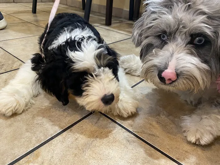 Cross Keys Animal Hospital 7