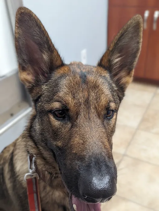 Cross Keys Animal Hospital 10