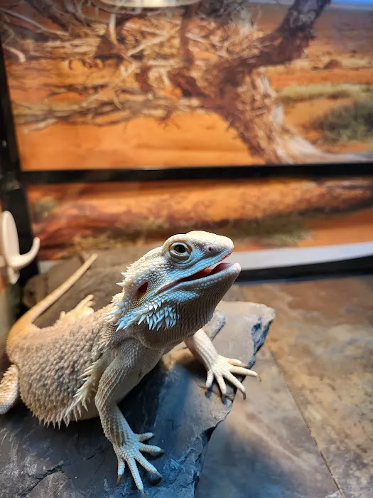 All Creatures Veterinary Care Center 2