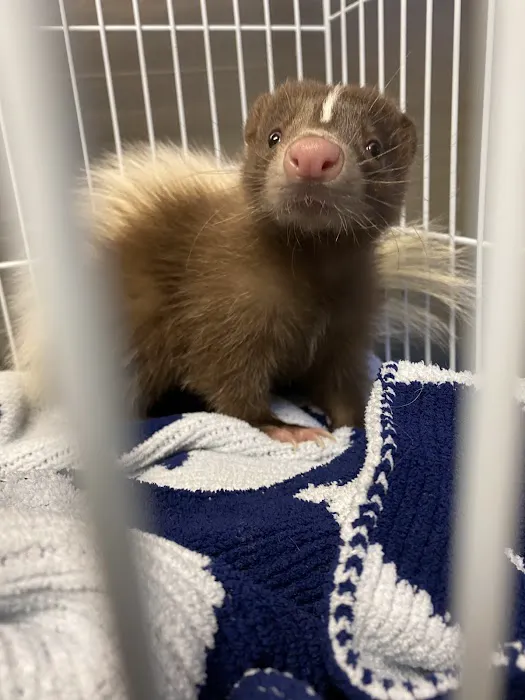 All Creatures Veterinary Care Center 5
