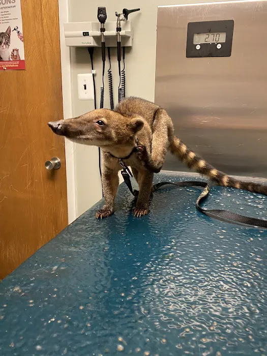 All Creatures Veterinary Care Center 7
