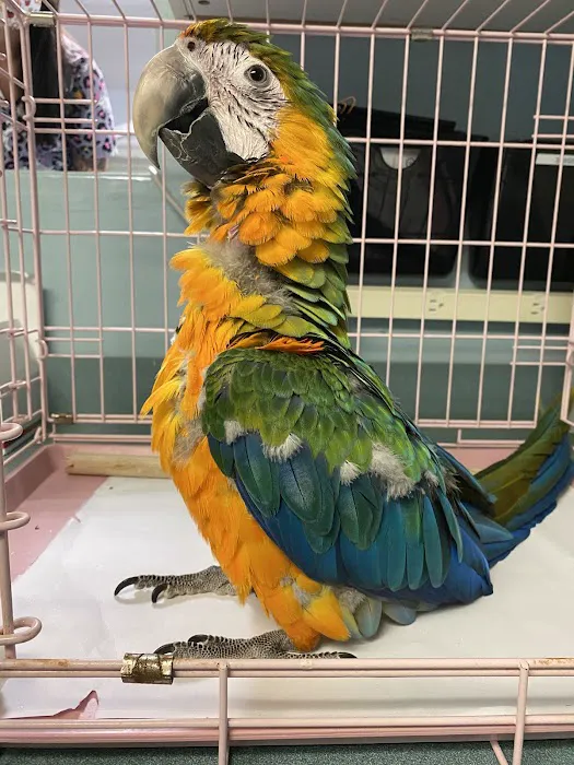 All Creatures Veterinary Care Center 10