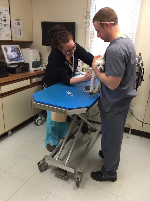 Gloucester County Animal Hospital 1