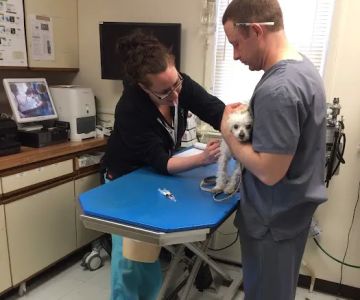 Gloucester County Animal Hospital