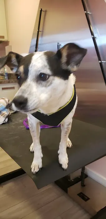 Gloucester County Animal Hospital 9