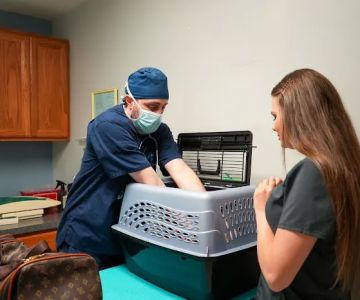 Ace of Spays: Optimizing Spay/Neuter Care