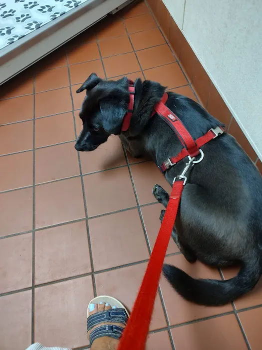 Flowers Mill Veterinary Hospital 9