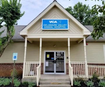 VCA Delaware Valley Animal Hospital