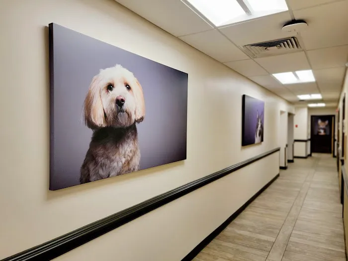 VCA Delaware Valley Animal Hospital 3