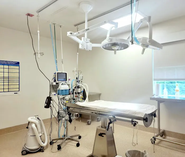 VCA Delaware Valley Animal Hospital 6