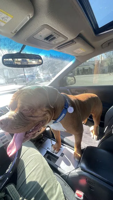 VCA Delaware Valley Animal Hospital 7