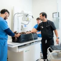 Pets Furst Urgent Care ico