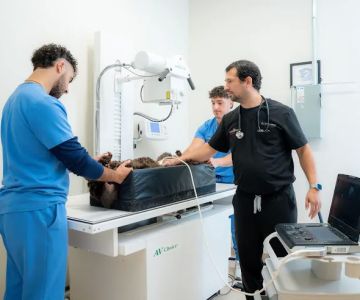 Pets Furst Urgent Care