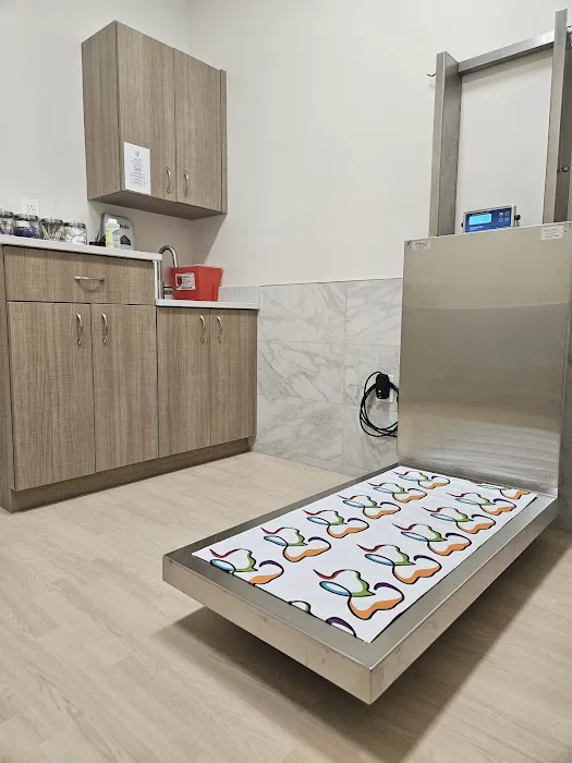Pets Furst Urgent Care 4