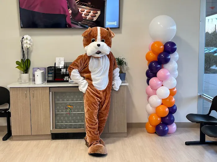 Pets Furst Urgent Care 7
