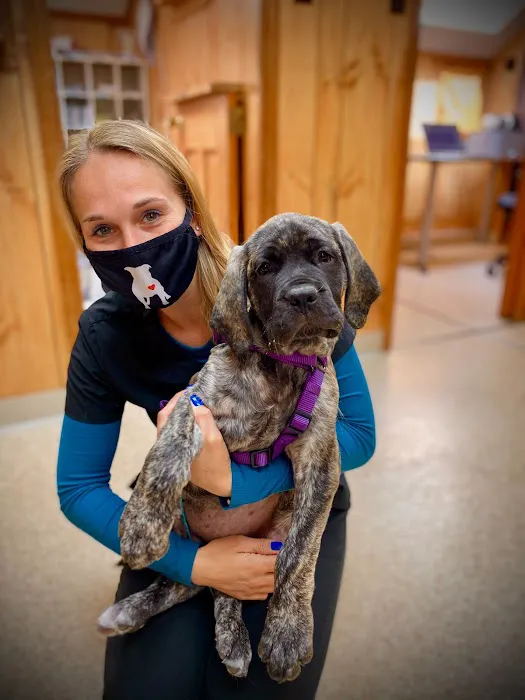 Tabernacle Animal Hospital 12