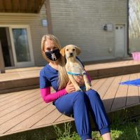 Tabernacle Animal Hospital ico