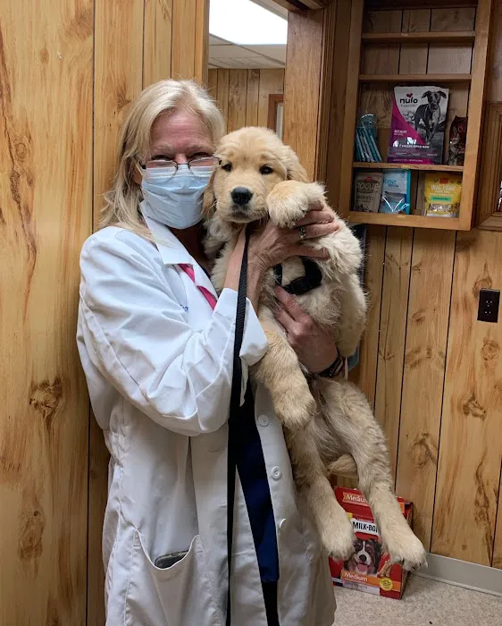 Tabernacle Animal Hospital 12