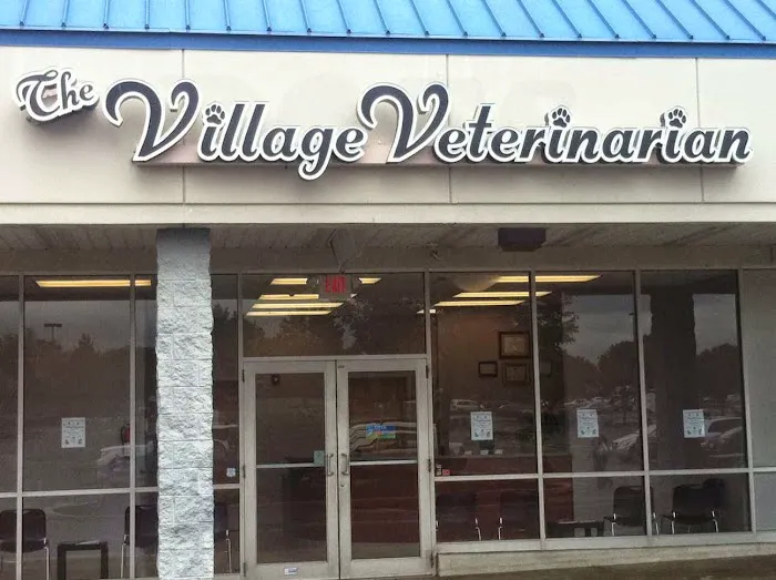 The Village Veterinarian 9