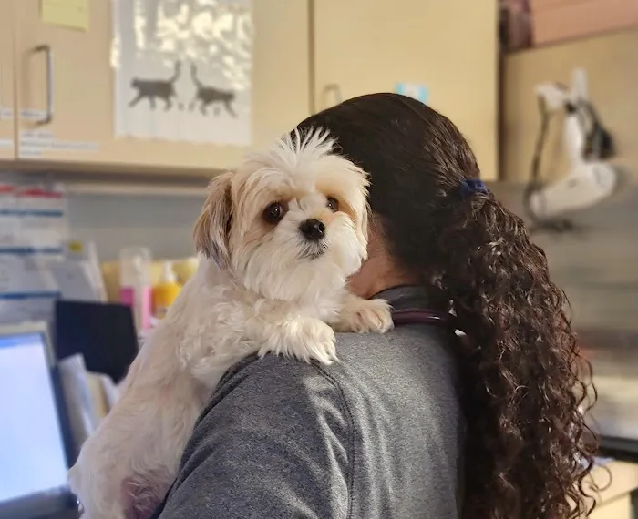 VCA Animal Healing Center 5