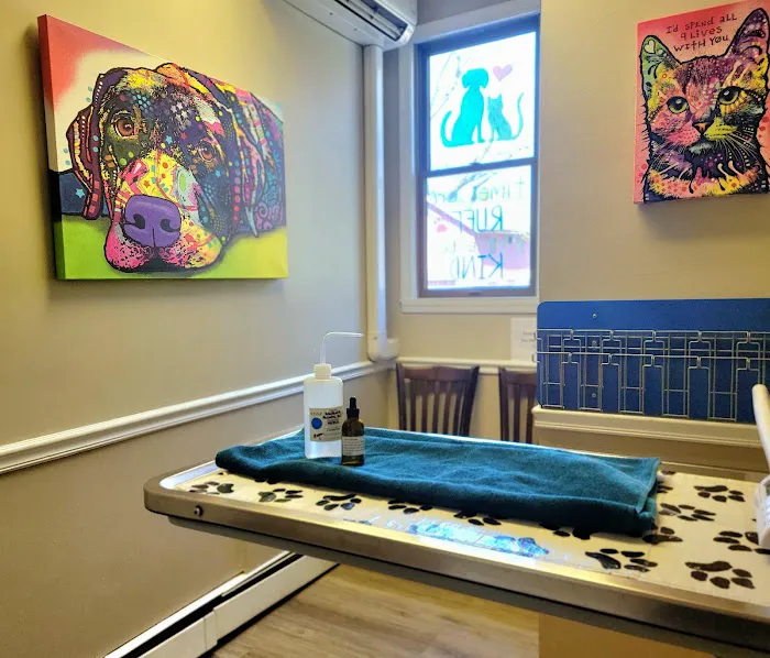 VCA Animal Healing Center 9