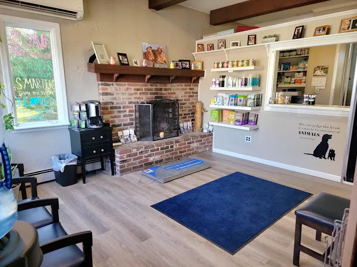 VCA Animal Healing Center 10