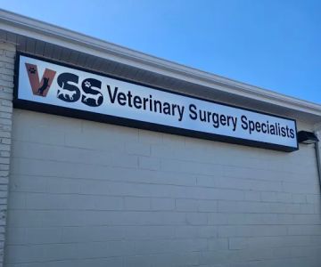 Veterinary Surgery Specialists