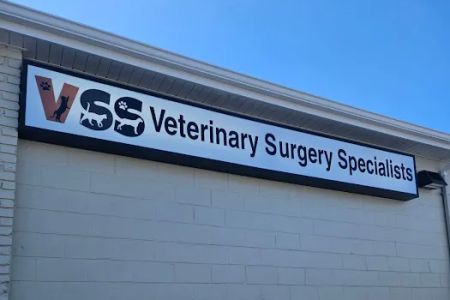 Veterinary Surgery Specialists
