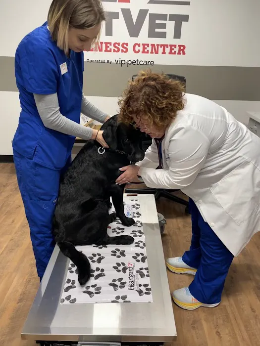 PetVet Vaccination Clinic 12