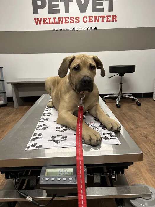 PetVet Vaccination Clinic 12
