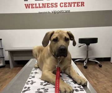 PetVet Vaccination Clinic