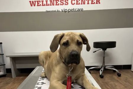 PetVet Vaccination Clinic