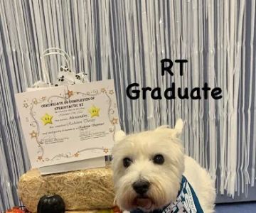 PetCure Oncology Robbinsville - Advanced Cancer Treatments for Cats & Dogs