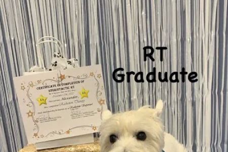 PetCure Oncology Robbinsville - Advanced Cancer Treatments for Cats & Dogs