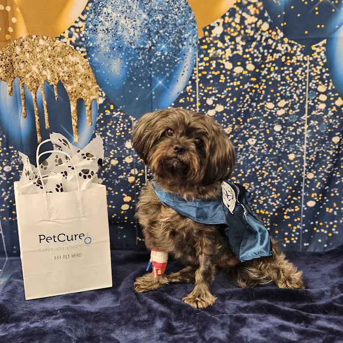 PetCure Oncology Robbinsville - Advanced Cancer Treatments for Cats & Dogs 12