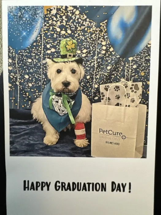 PetCure Oncology Robbinsville - Advanced Cancer Treatments for Cats & Dogs 12