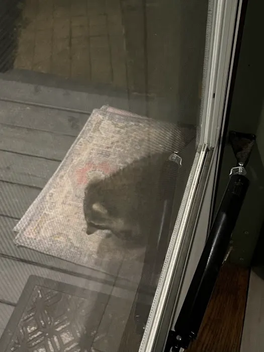 Allentown Animal Hospital 12