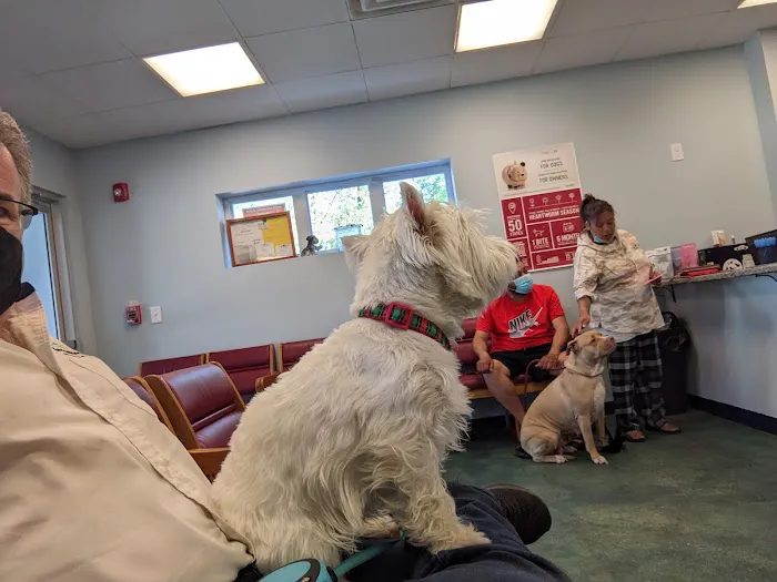 People For Animals Inc 6