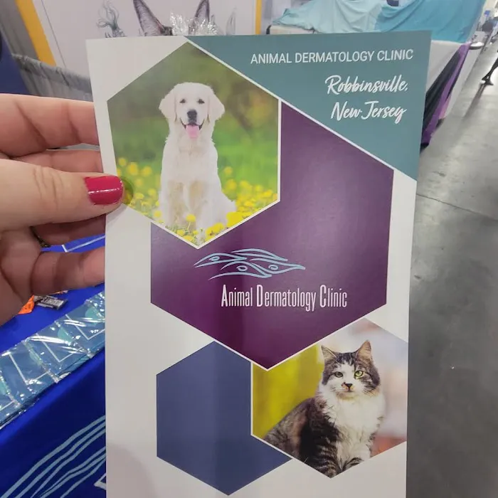 Animal Dermatology Clinic 2
