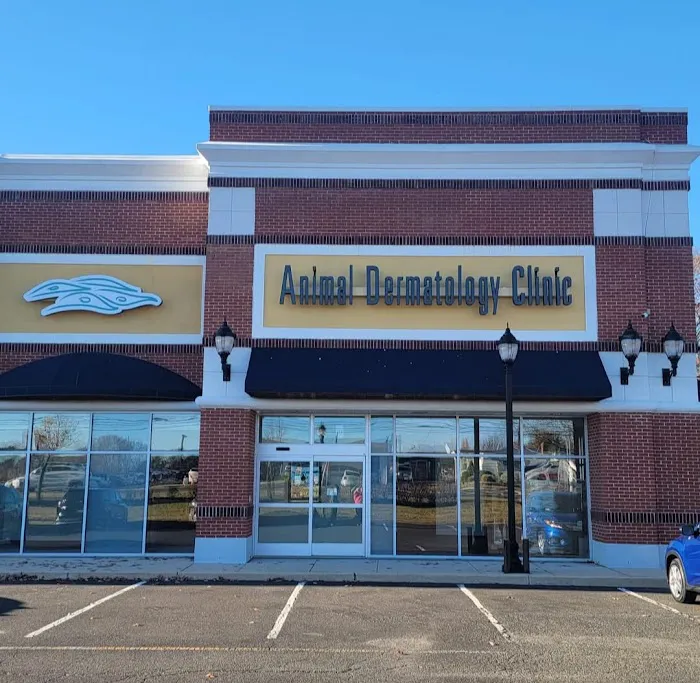 Animal Dermatology Clinic 1
