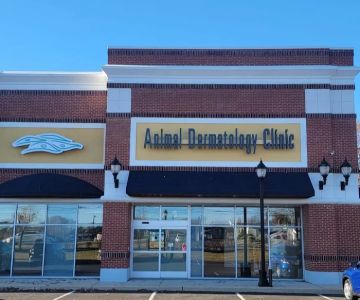 Animal Dermatology Clinic