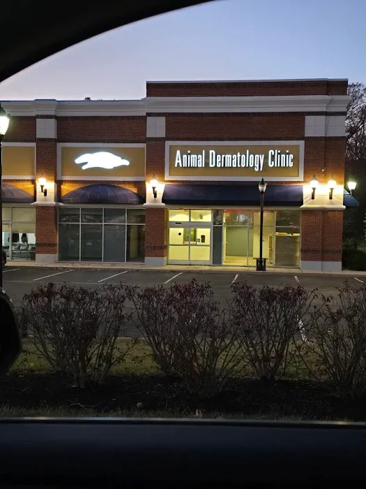 Animal Dermatology Clinic 3
