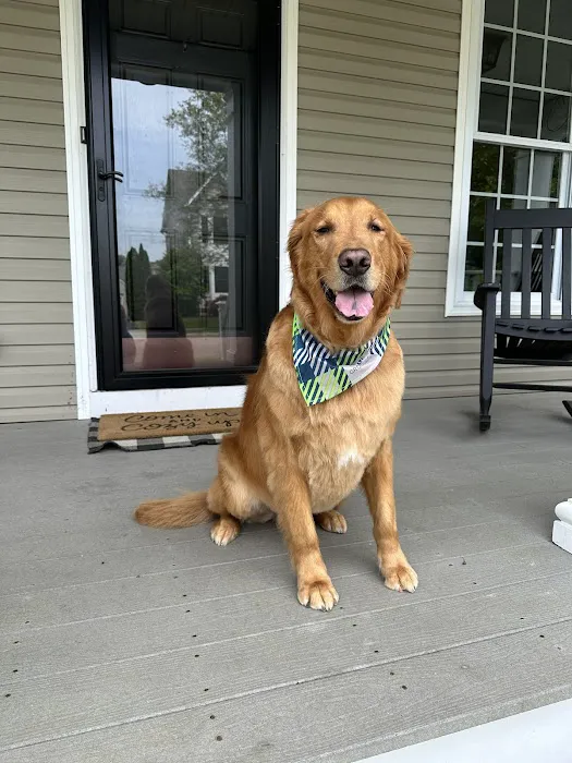 Banfield Pet Hospital 4